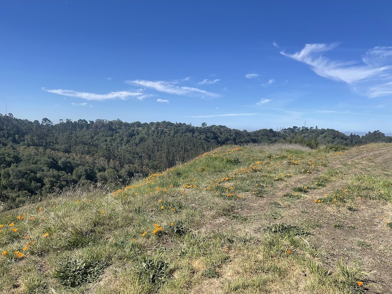 Photo of Quarry Trail Bench