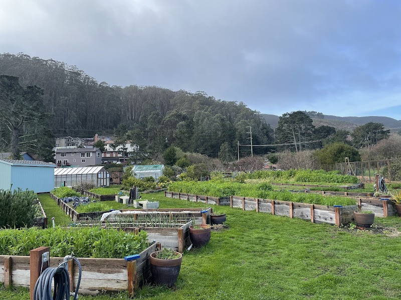 Pacifica Gardens photo 5