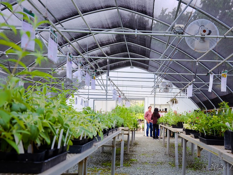 Photo of Seasonal Plant Sales - The Gardens At Heather Farm