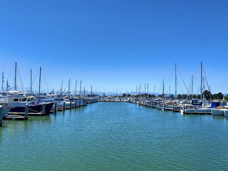 Photo of Walking Trail Surrounded by the Water