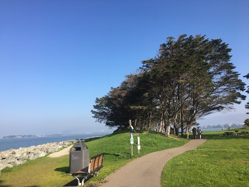 Walking Trail Surrounded by the Water photo 4
