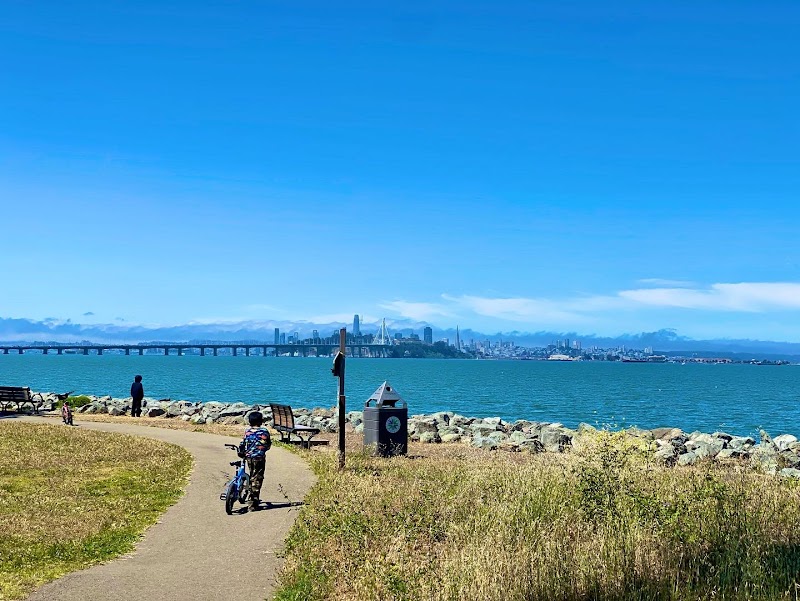 Walking Trail Surrounded by the Water photo 3