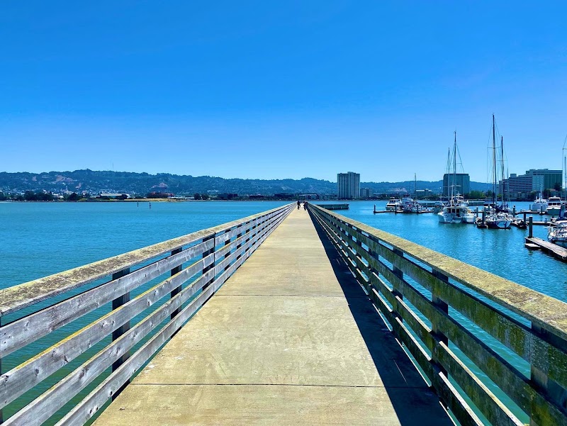 Walking Trail Surrounded by the Water photo 2
