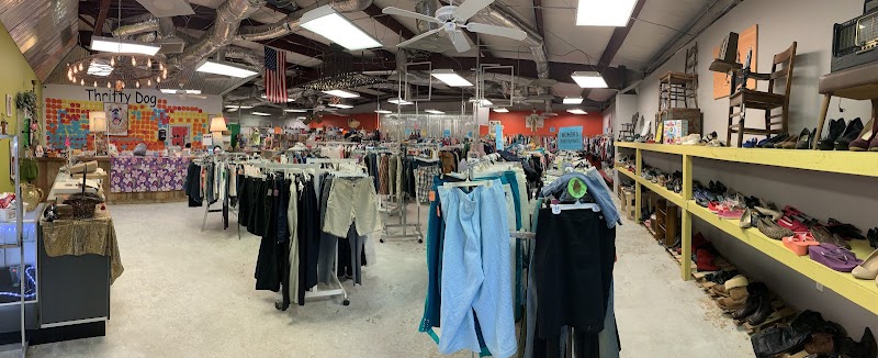 Thrifty Dog Thrift Store photo 3