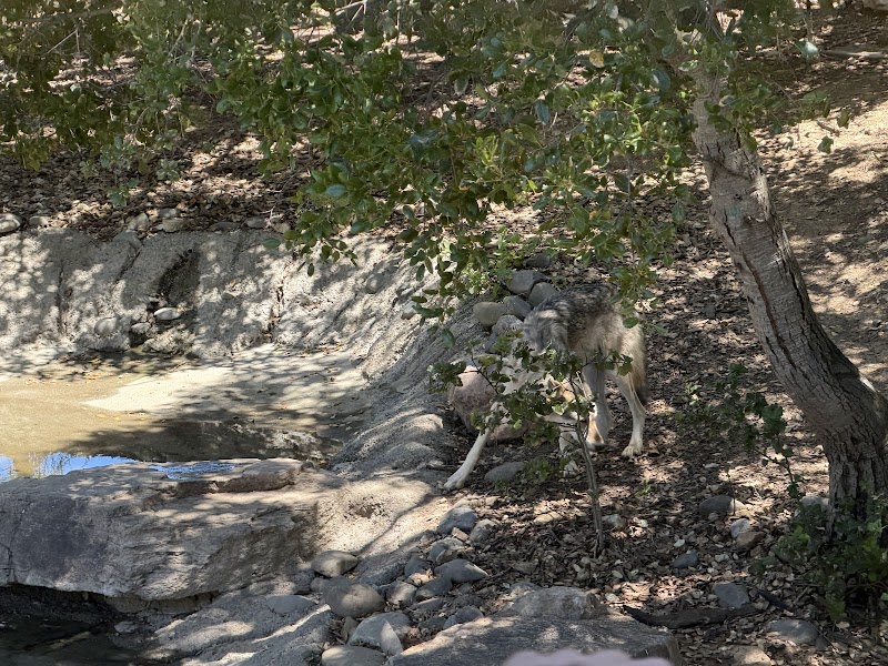 Wild Australia photo 2