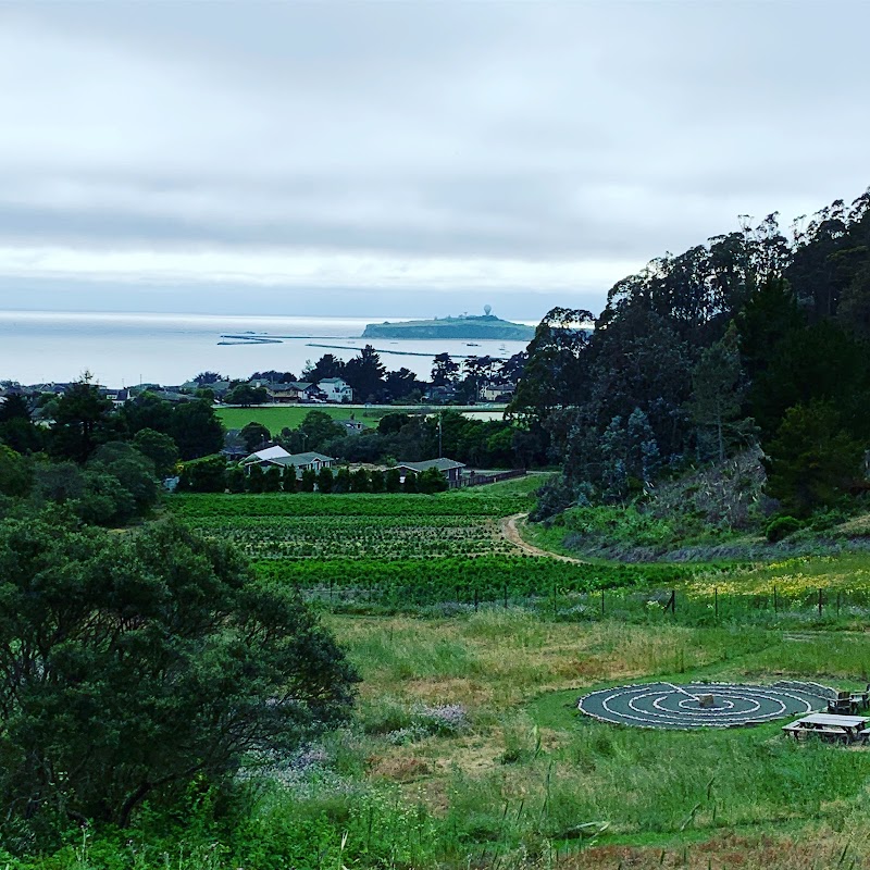 Photo of Miramar Farms