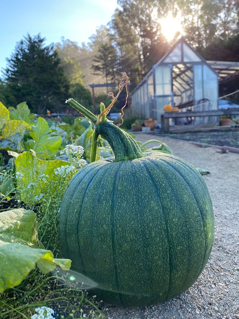 Miramar Farms photo 5