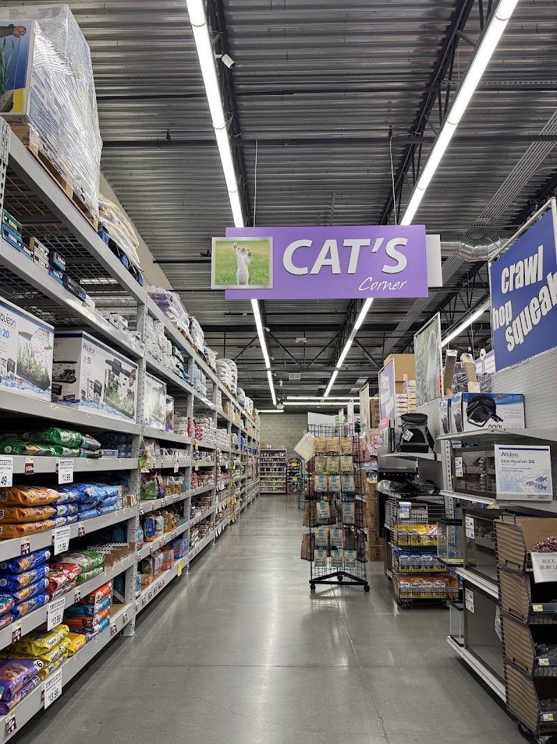 Pet Club Cupertino photo 3