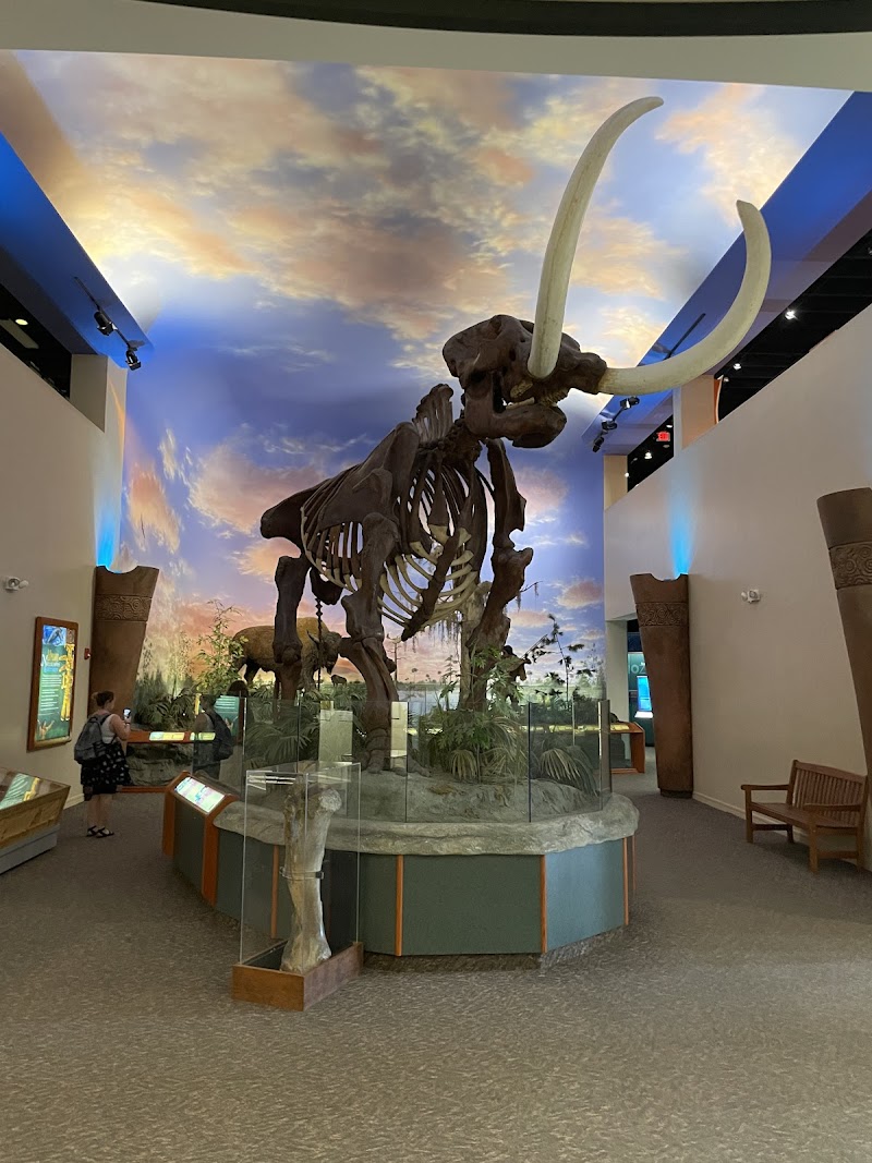 The Bishop Museum of Science and Nature photo 4