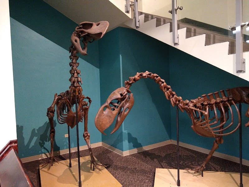 The Bishop Museum of Science and Nature photo 3
