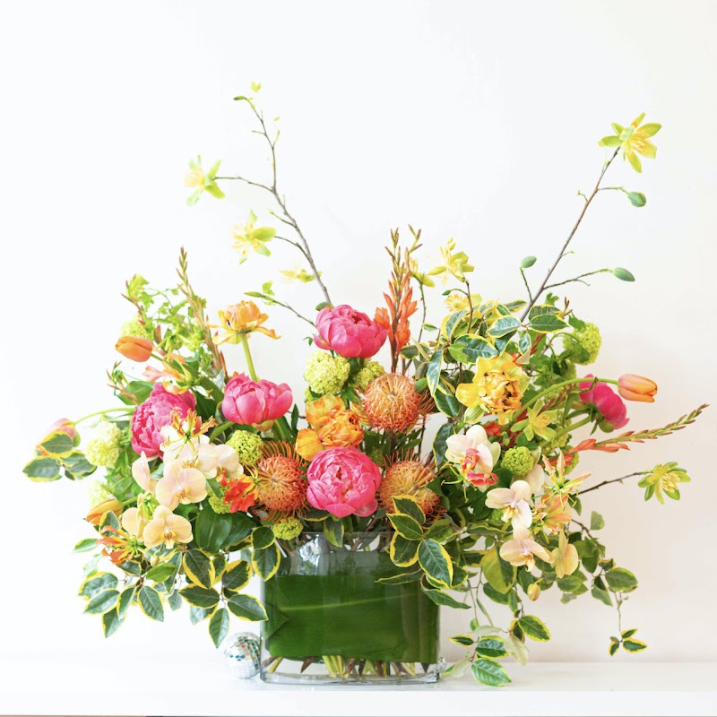 Floralounge photo 2