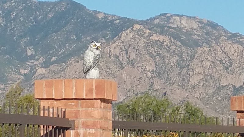 Photo of Desert Oasis Recreation Center