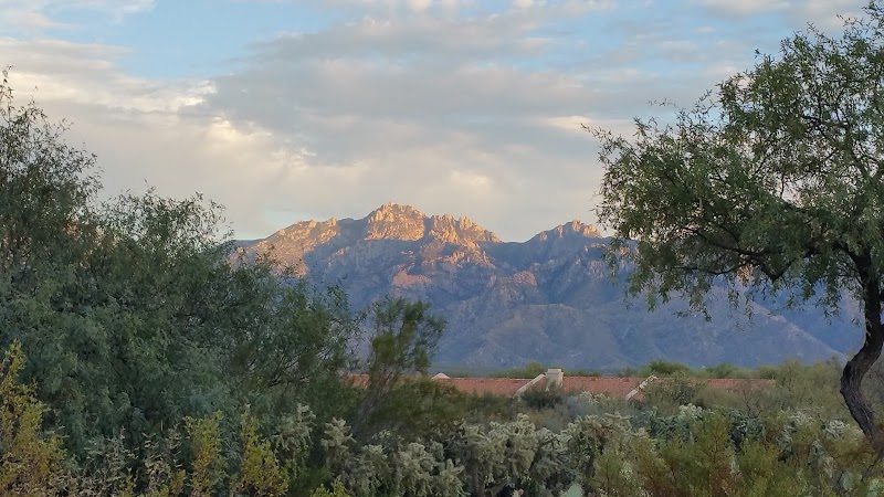 Desert Oasis Recreation Center photo 2