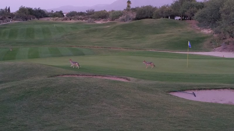 Desert Oasis Recreation Center photo 5