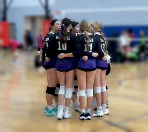 Pasco Volleyball Academy photo 2