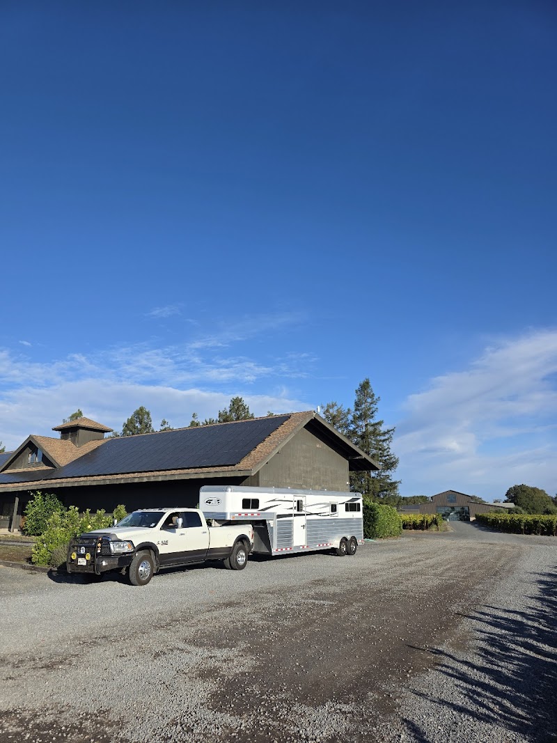 Martaella Vineyards photo 2