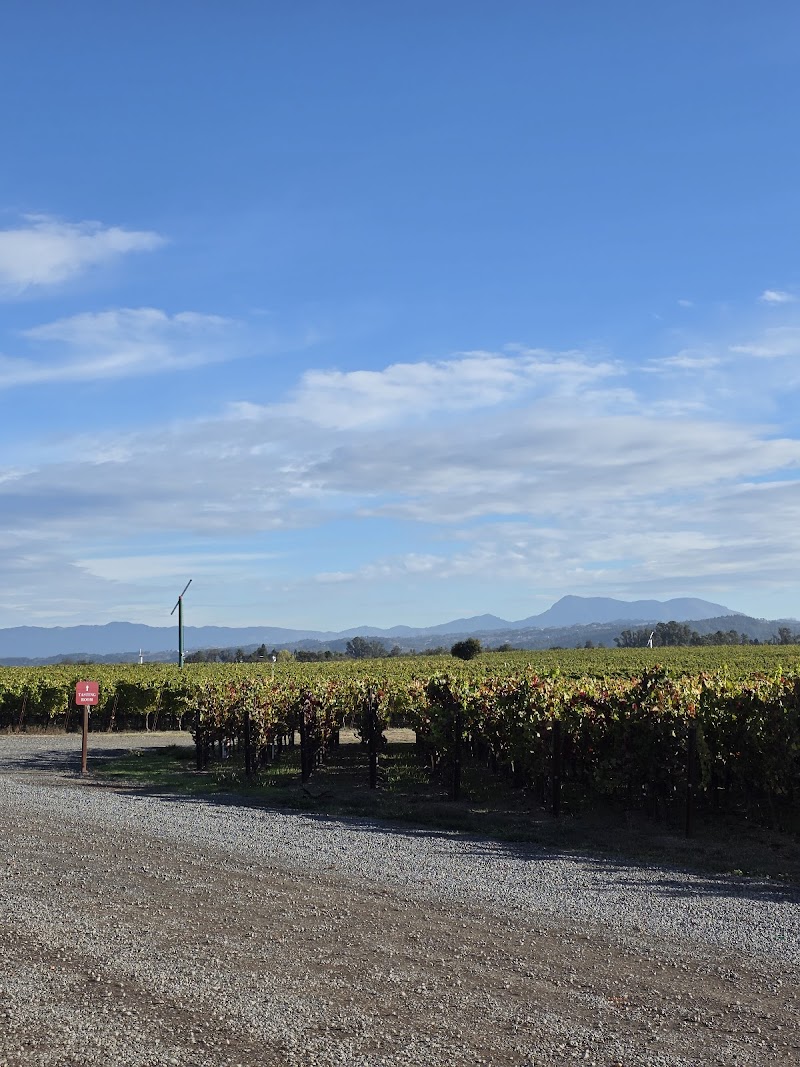 Martaella Vineyards photo 4