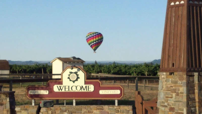 Martaella Vineyards photo 5