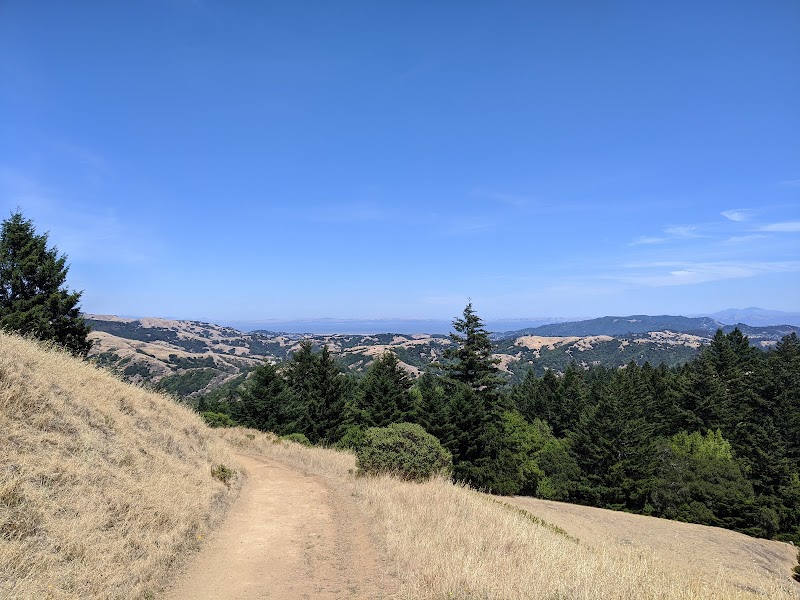 White Hill Preserve photo 2
