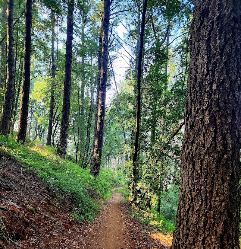 White Hill Preserve photo 4