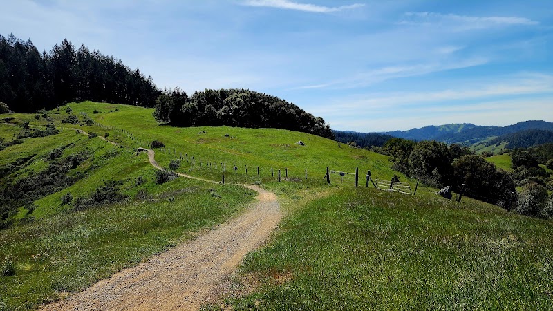 Photo of White Hill Preserve