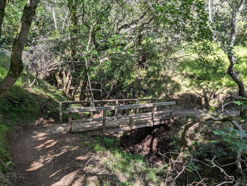 White Hill Preserve photo 5