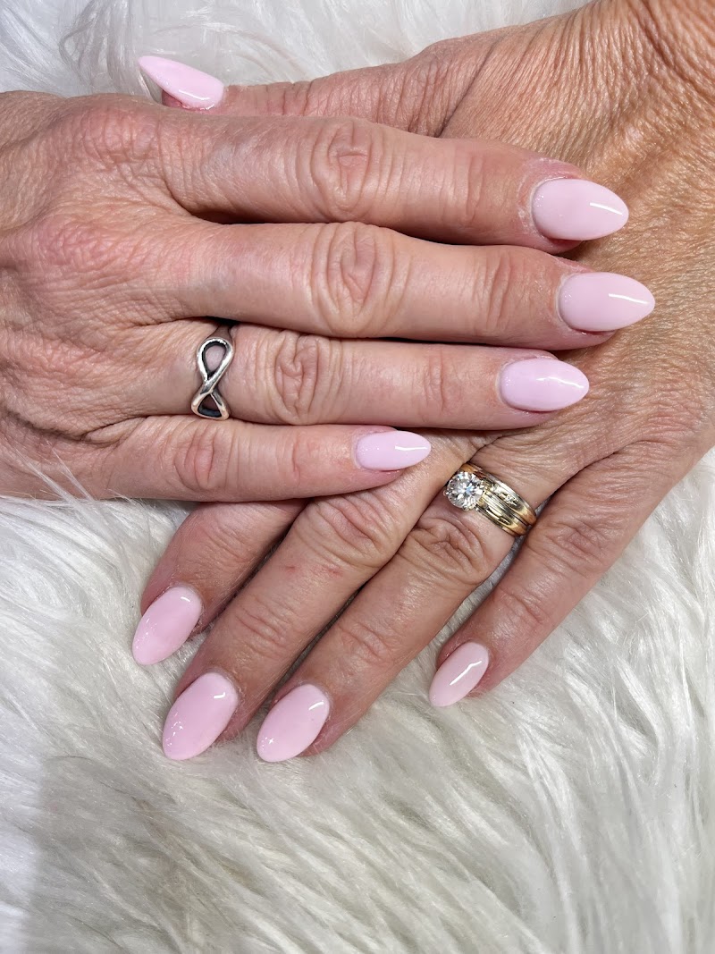 Photo of Venus Nail Spa Palm Harbor