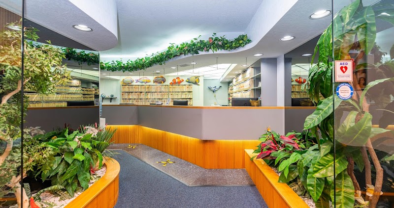 Photo of Massey Dentistry - Cosmetic, Implants & Family