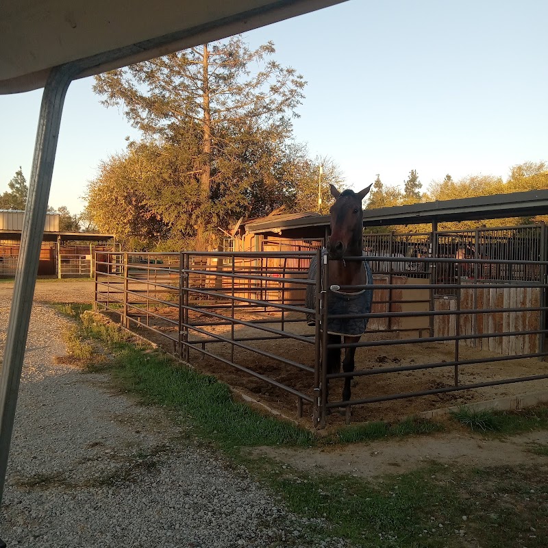 The Ranch in Gilroy photo 2