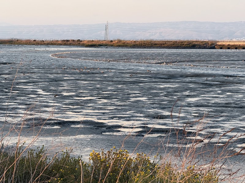 Palo Alto Shoreline Scenic Lookout photo 3