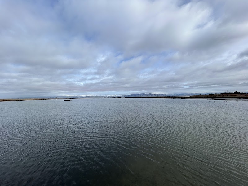 Palo Alto Shoreline Scenic Lookout photo 5
