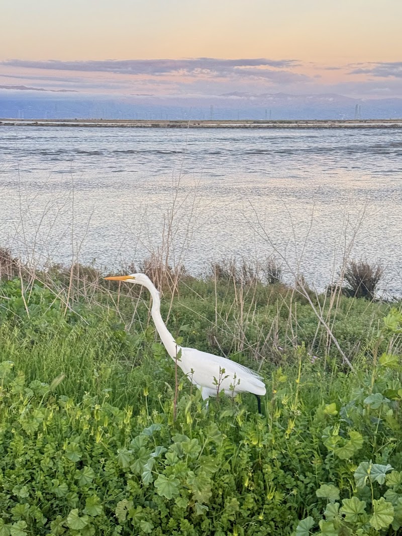 Palo Alto Shoreline Scenic Lookout photo 4