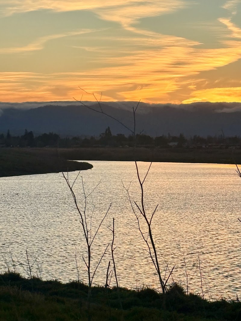 Palo Alto Shoreline Scenic Lookout photo 2