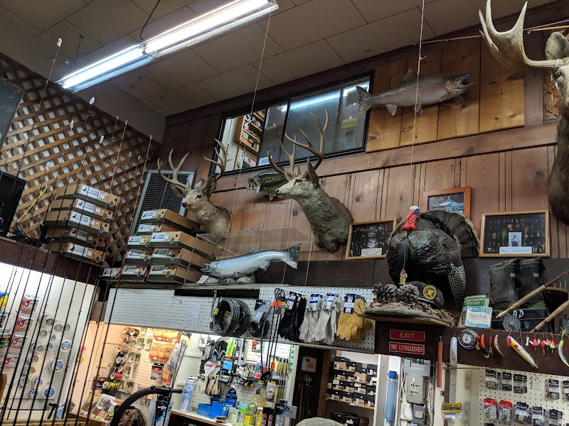 King's Sport & Tackle photo 3