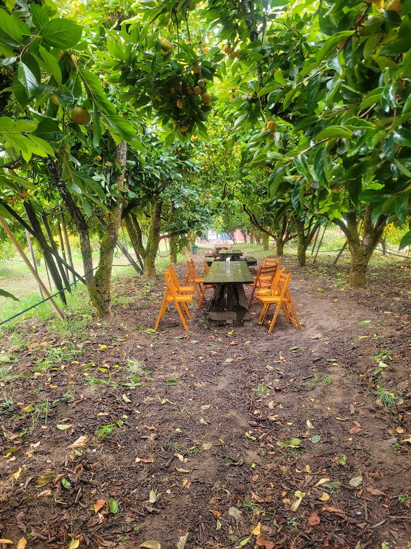 Earthseed Farm photo 3