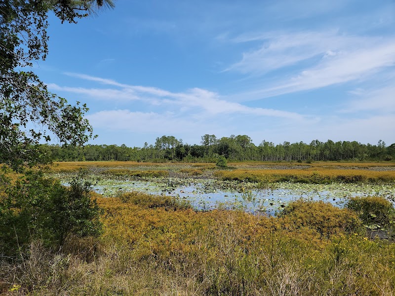 Flatwoods Park photo 3