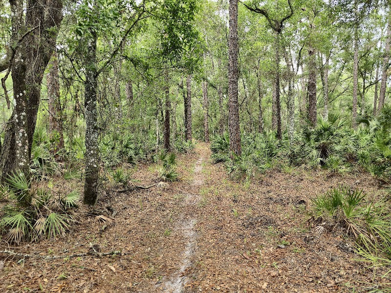Flatwoods Park photo 2