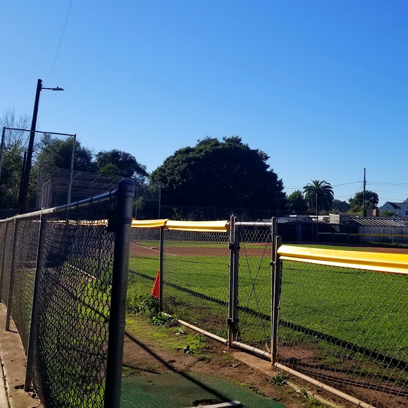 Krone Field photo 5