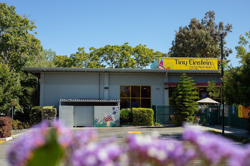 Photo of Tiny Einstein Child Development Center