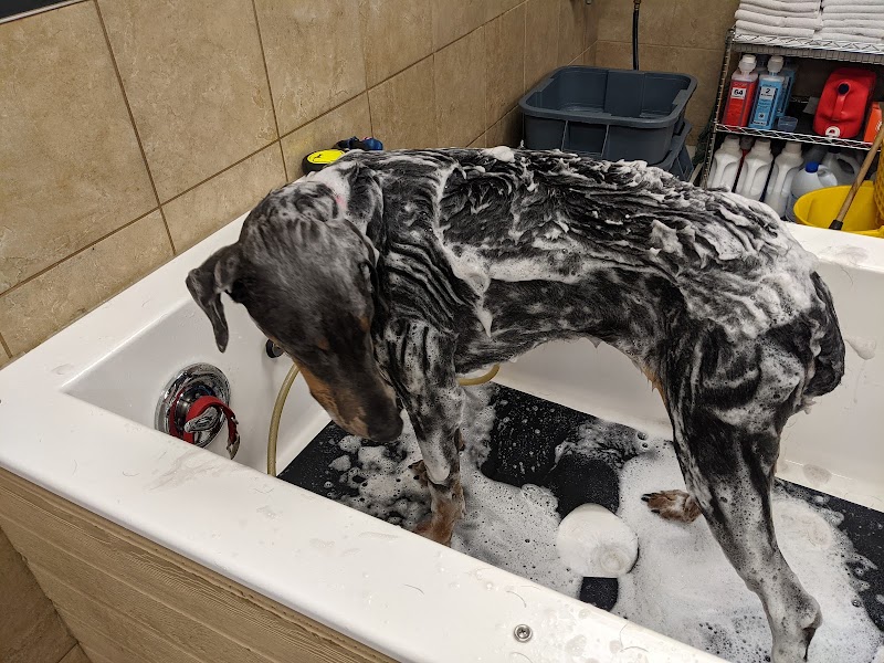 Pet Supplies Plus Webster photo 3