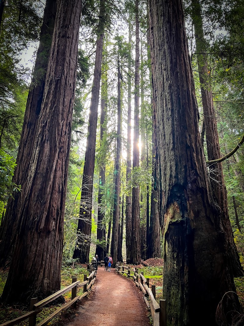 Photo of Muir Woods National Monument