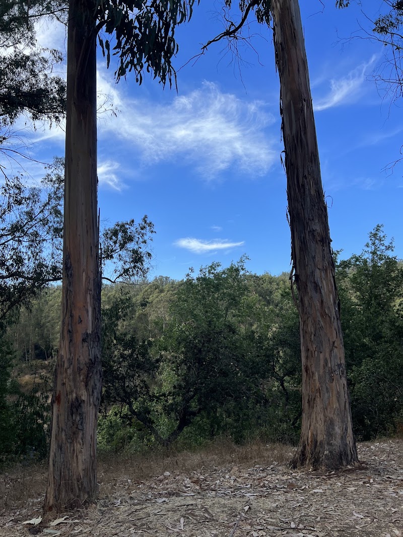 El Venado Campground photo 2