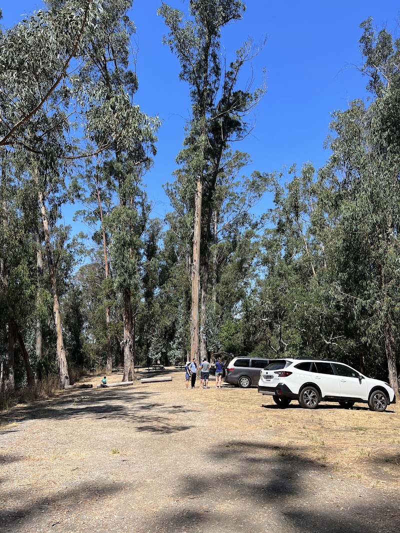 El Venado Campground photo 5