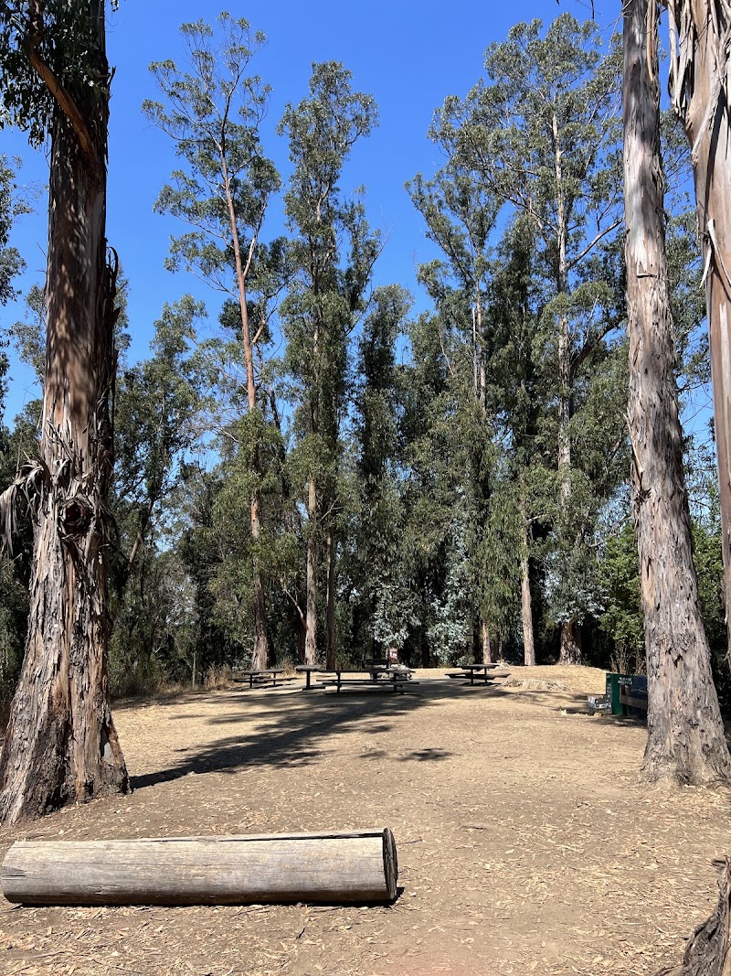 El Venado Campground photo 4