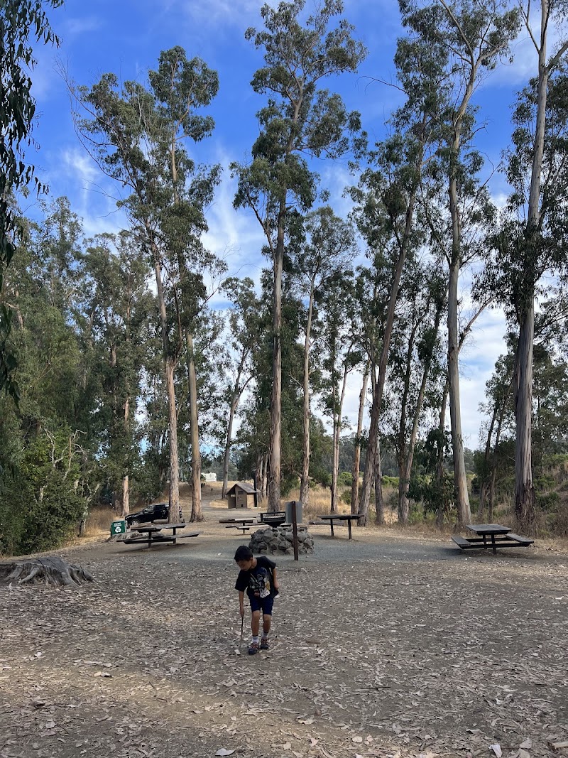 Photo of El Venado Campground