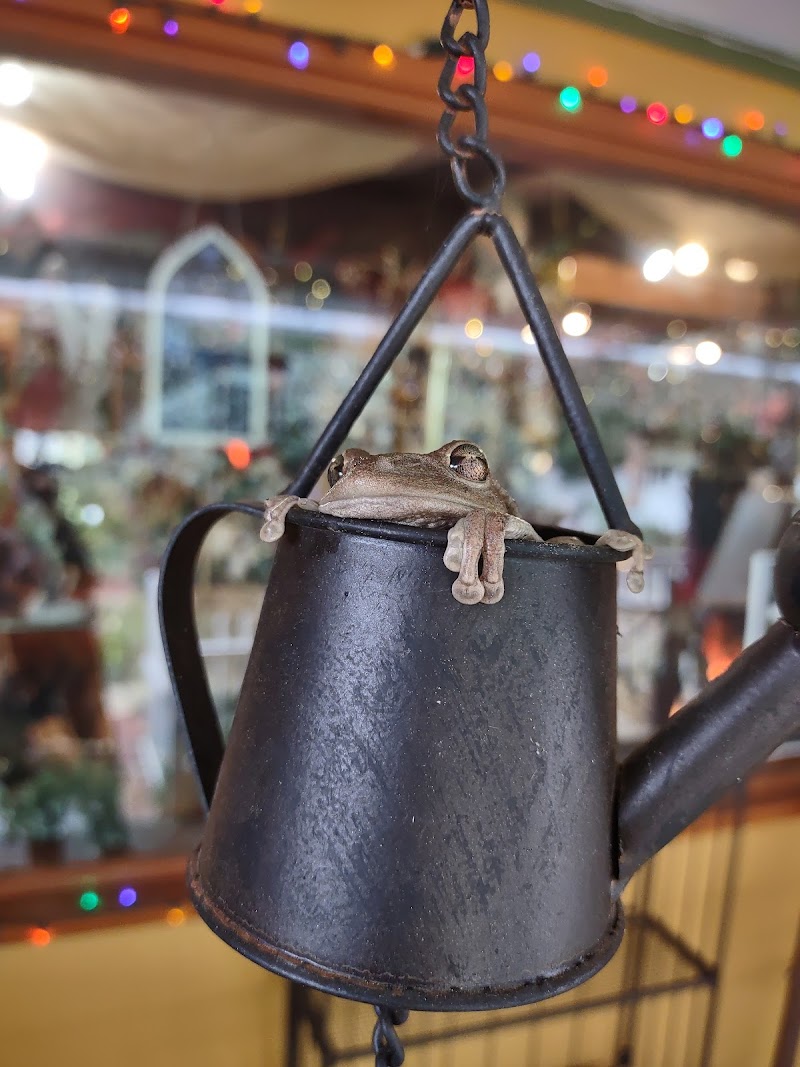 Capricci Gifts photo 4