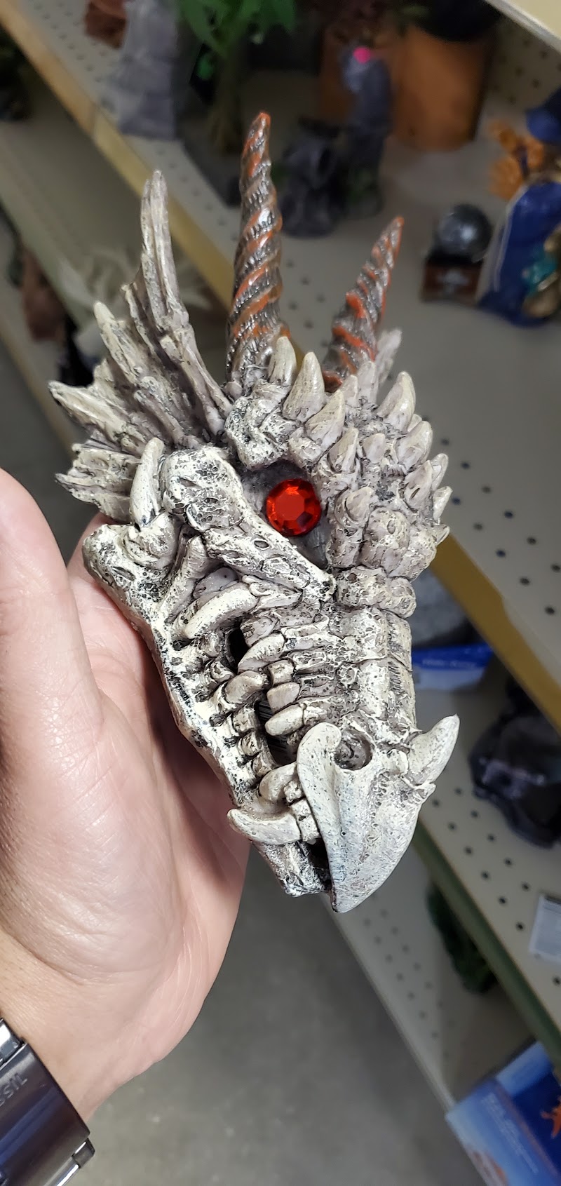 Pet World - Auburndale photo 5