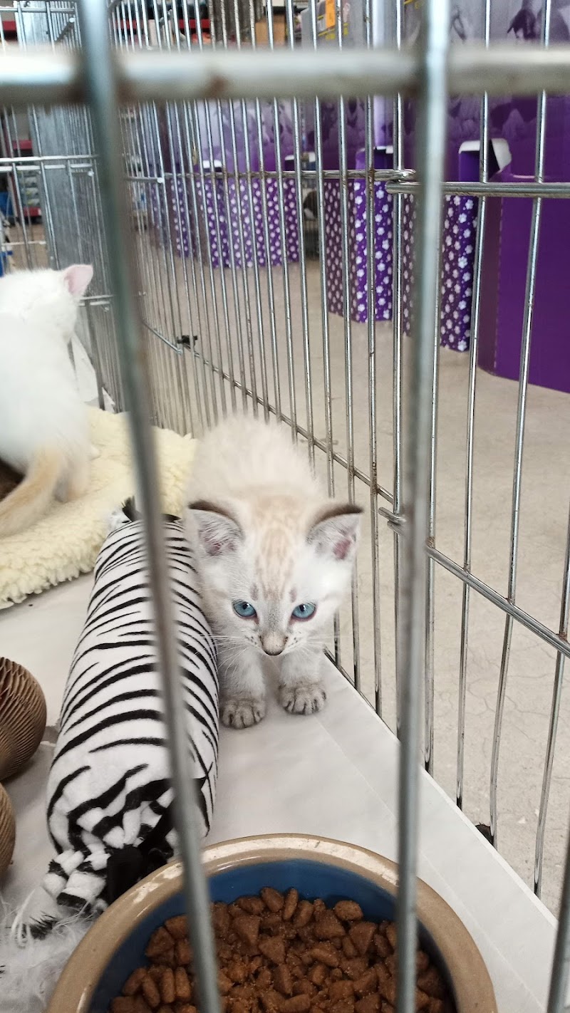 Pet World - Auburndale photo 3