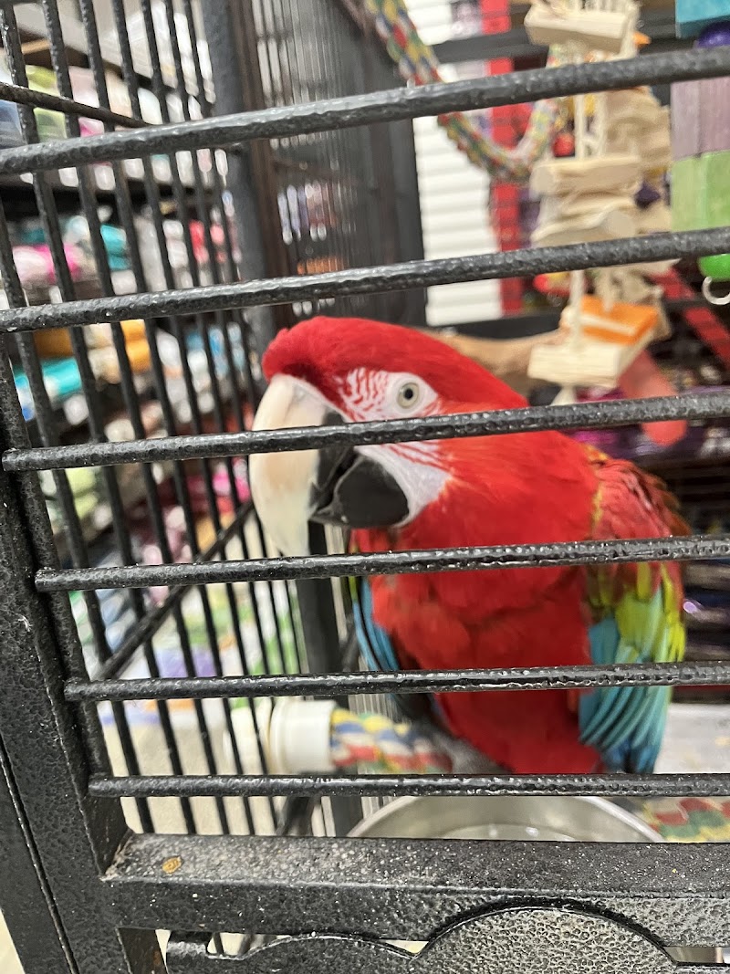Pet World - Auburndale photo 4