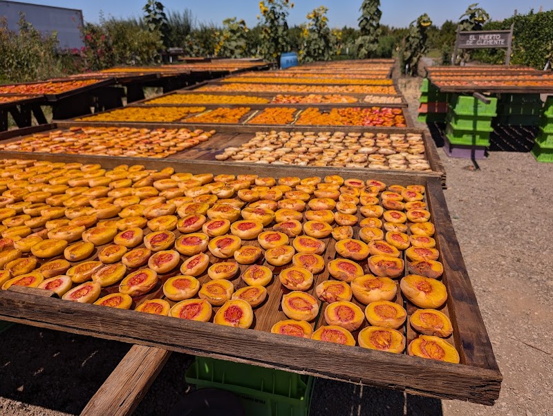 Mariani Orchards Harvest Experience photo 3